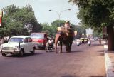 04 Dehli dans les rues éléphant Inde-1991-004